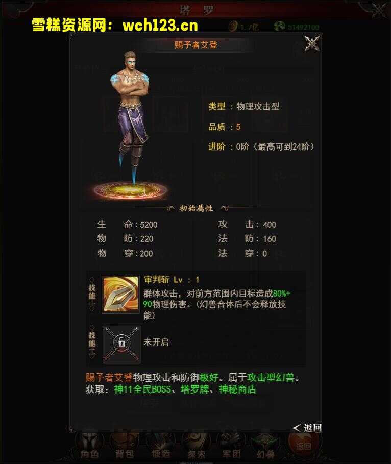 田野的鸟瞰图。一条道路穿过右上角。