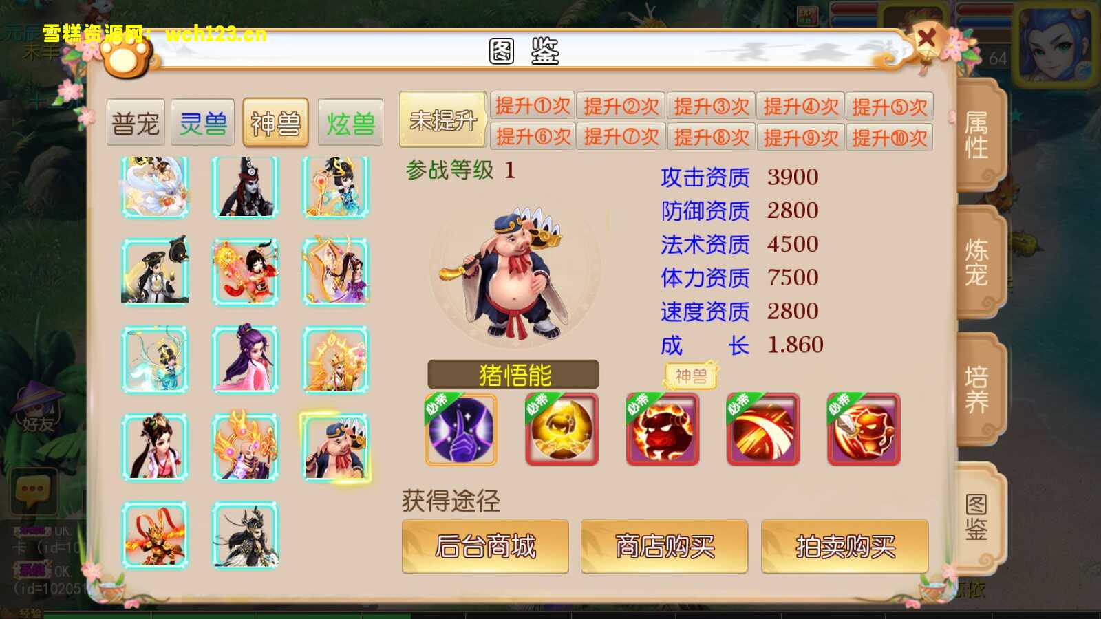 图片[7]-MT3换梦幻最新整理修复【宝宝西游】安卓苹果双端+GM后台+源码+一键全自动搭建脚本。-雪糕资源网 - 全网首家一键全自动搭建游戏脚本