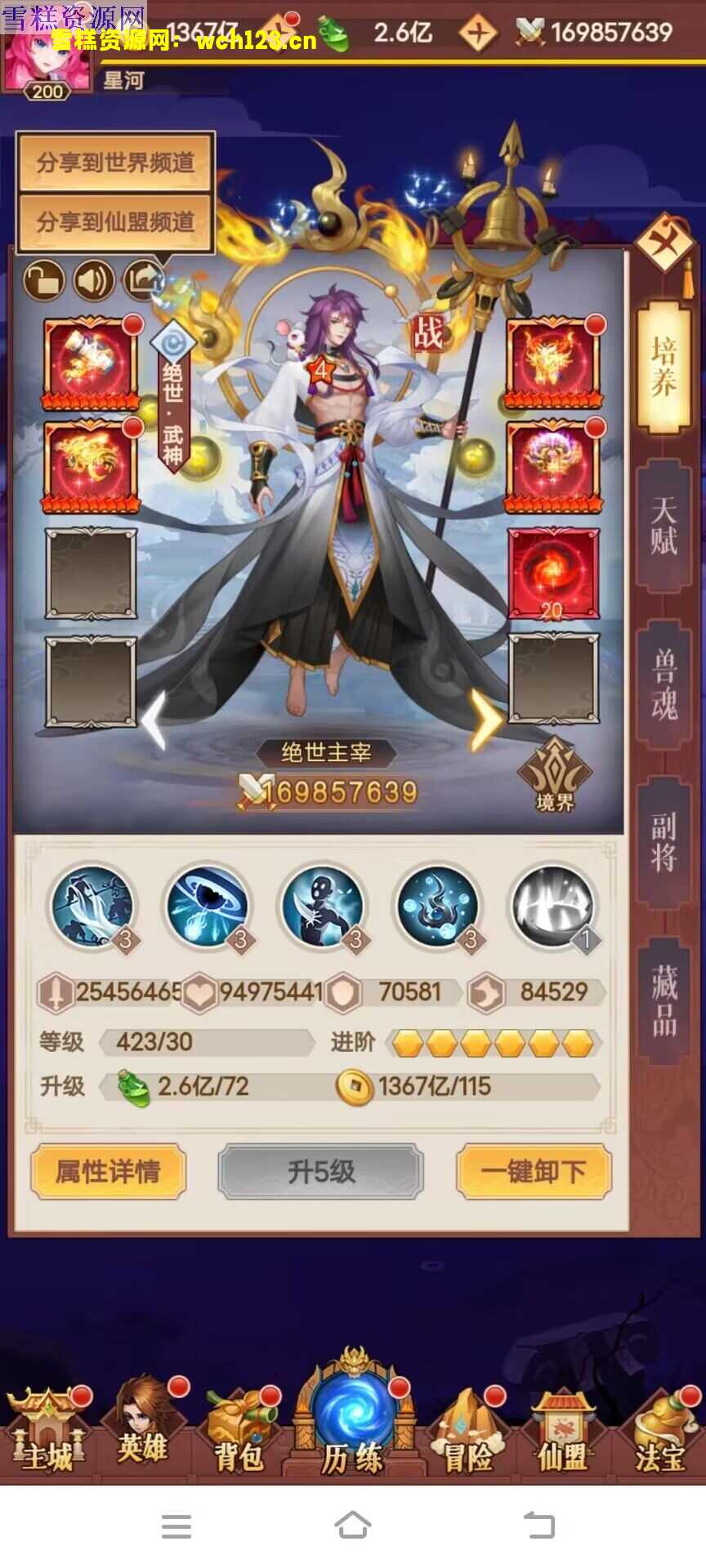 田野的鸟瞰图。一条道路穿过右上角。