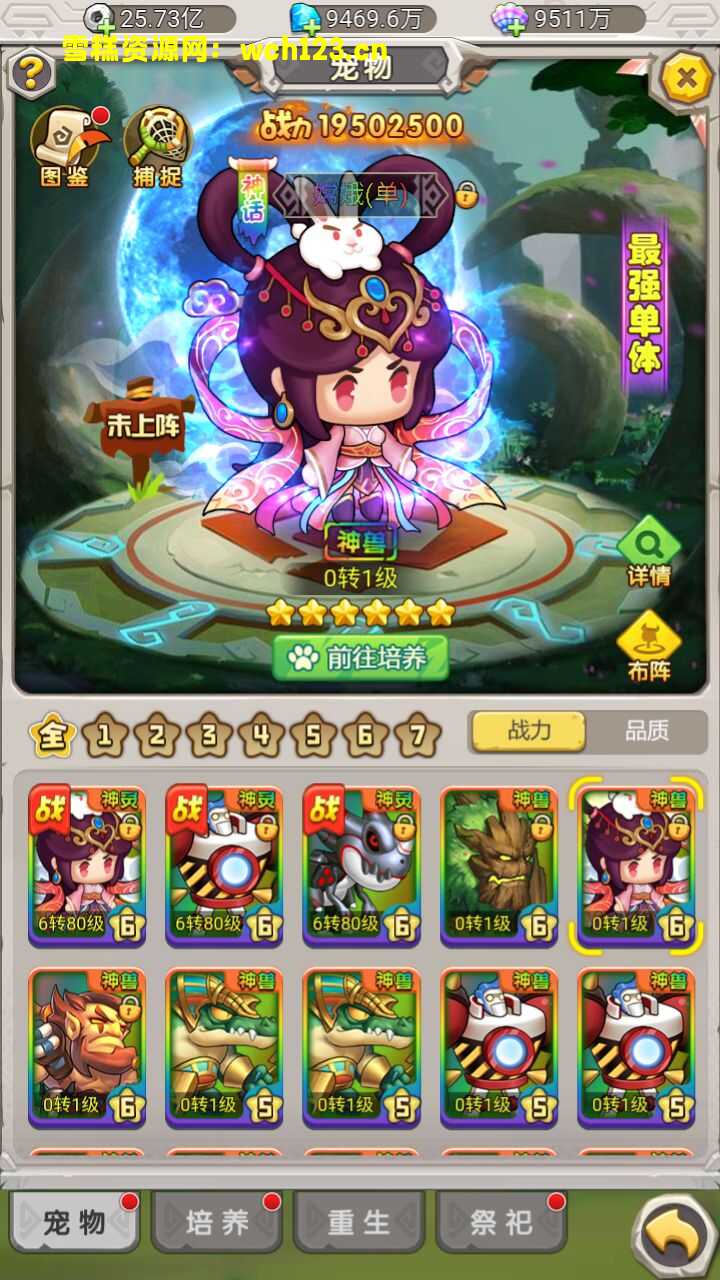 田野的鸟瞰图。一条道路穿过右上角。