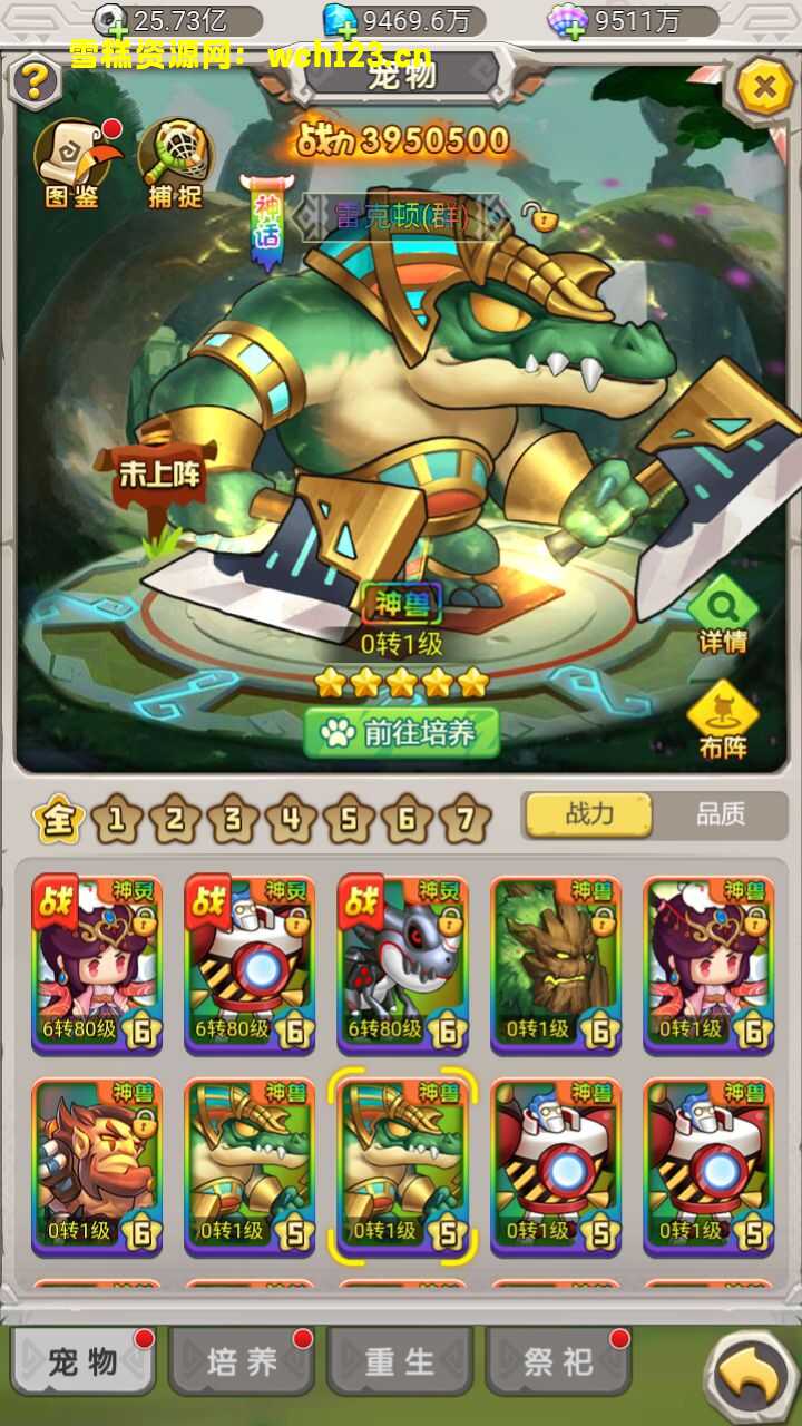 田野的鸟瞰图。一条道路穿过右上角。