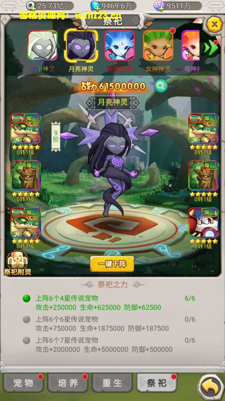 田野的鸟瞰图。一条道路穿过右上角。