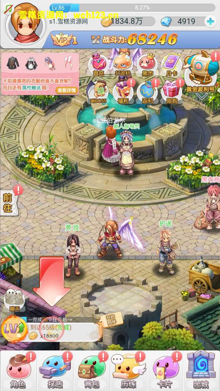 田野的鸟瞰图。一条道路穿过右上角。