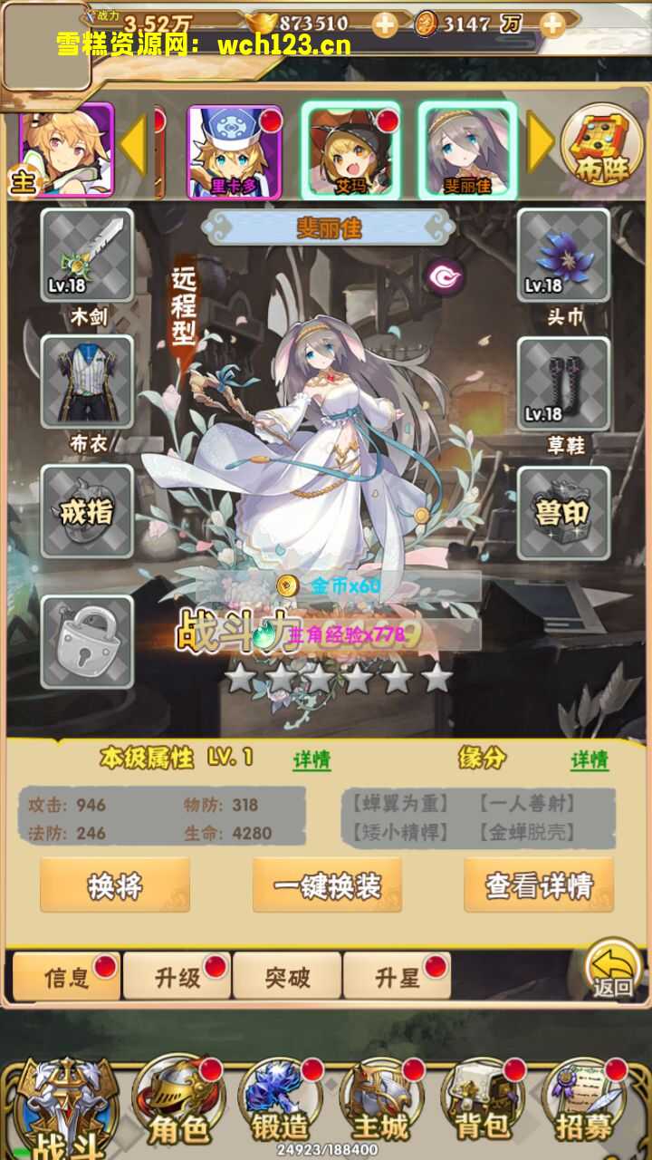 田野的鸟瞰图。一条道路穿过右上角。