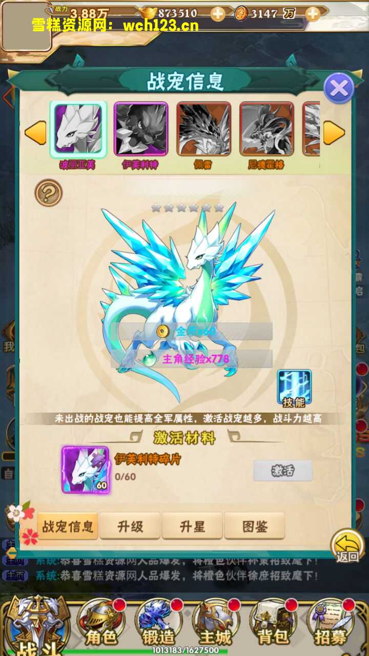 田野的鸟瞰图。一条道路穿过右上角。