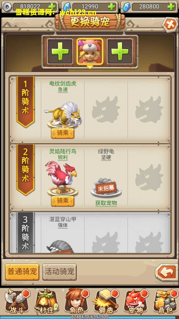 田野的鸟瞰图。一条道路穿过右上角。