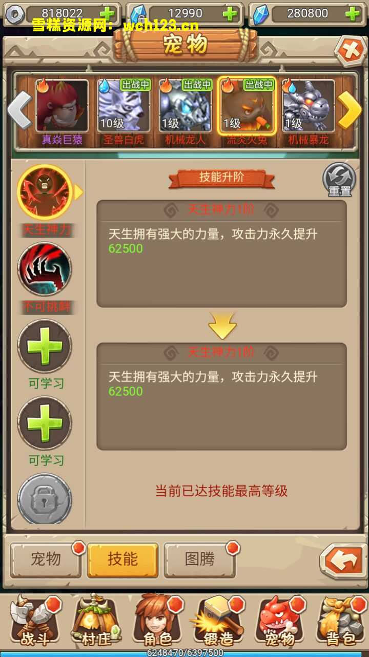 田野的鸟瞰图。一条道路穿过右上角。